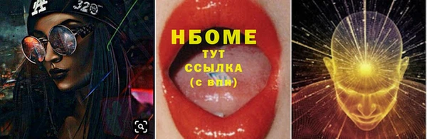 индика Арсеньев