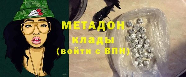 индика Арсеньев
