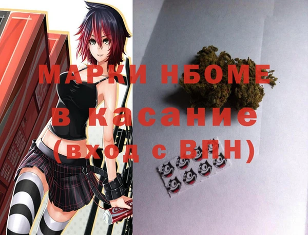 индика Арсеньев