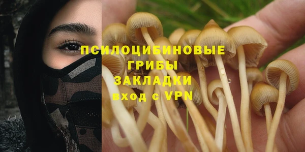 индика Арсеньев