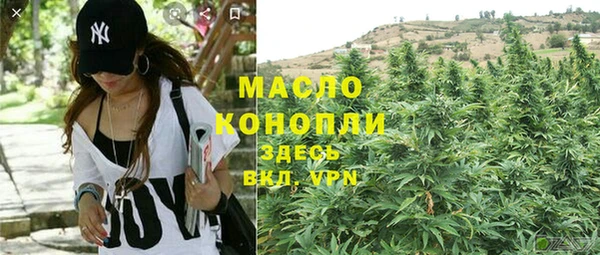 индика Арсеньев