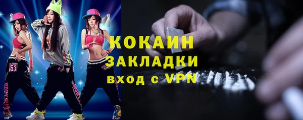индика Арсеньев