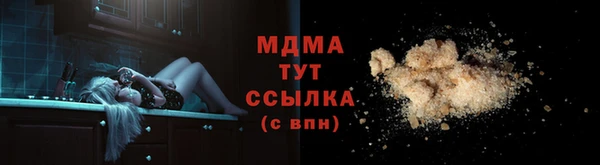 индика Арсеньев