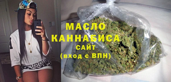 индика Арсеньев