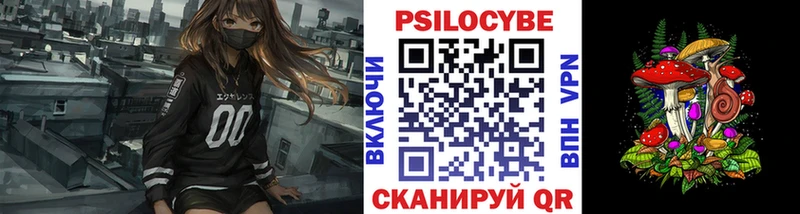 Галлюциногенные грибы прущие грибы  где продают   ОМГ ОМГ онион  Новый Уренгой 