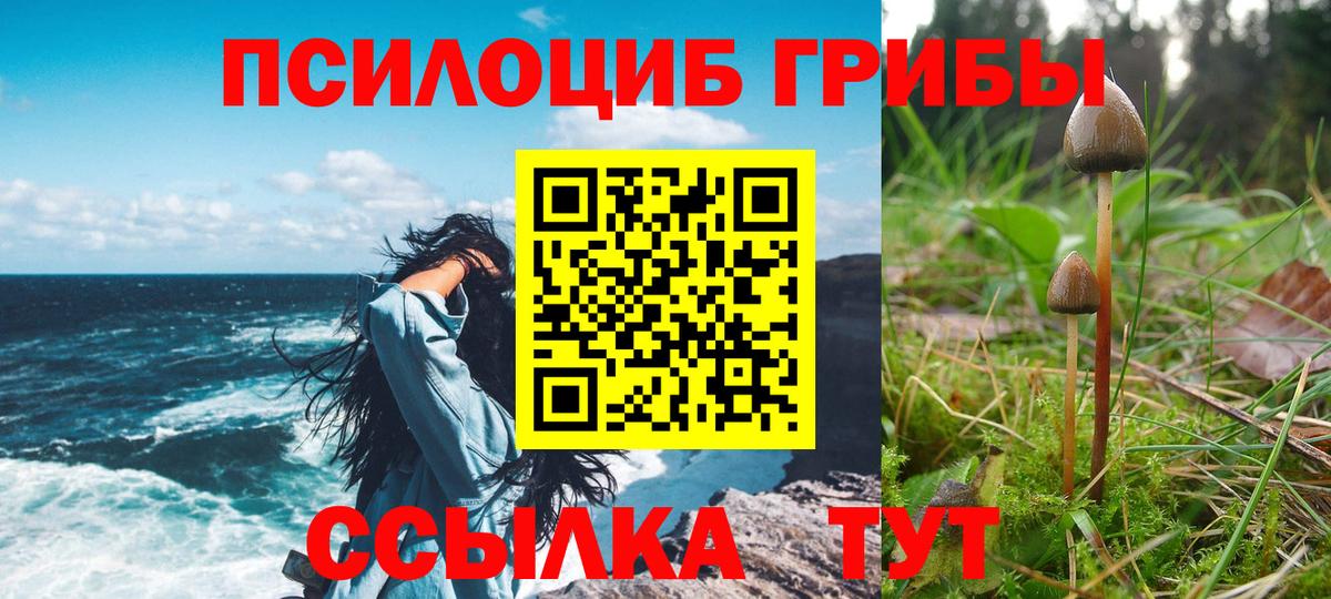 Псилоцибиновые грибы мицелий Новый Уренгой