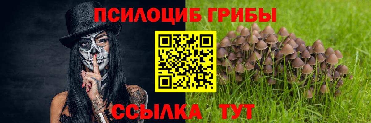Галлюциногенные грибы мухоморы  Вход с VPN  Новый Уренгой 